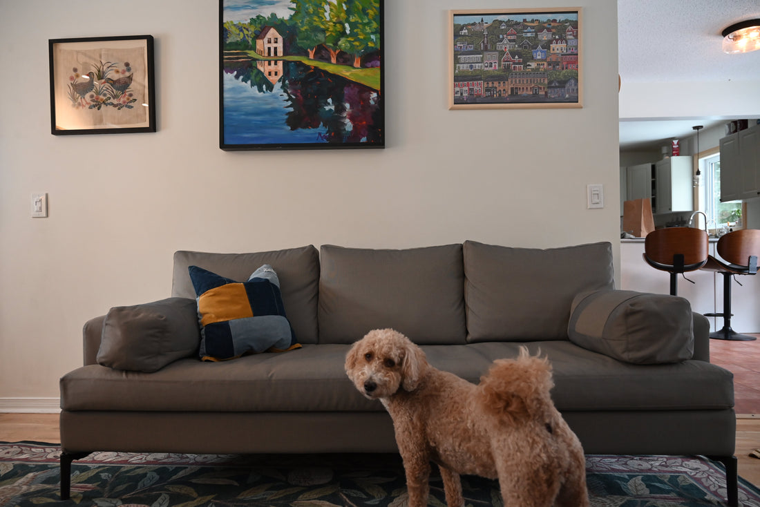 Someone's trash is someone else's treasure / 誰かのゴミは誰かの宝